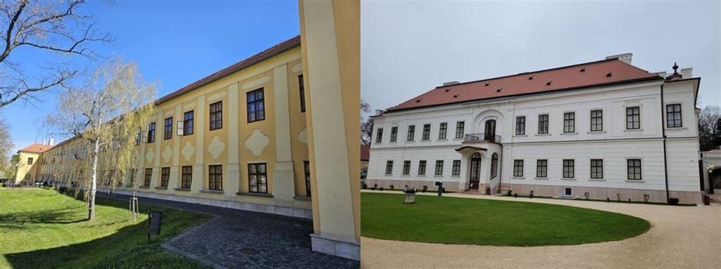 Esterházy-kastély (Esterházy Palace)