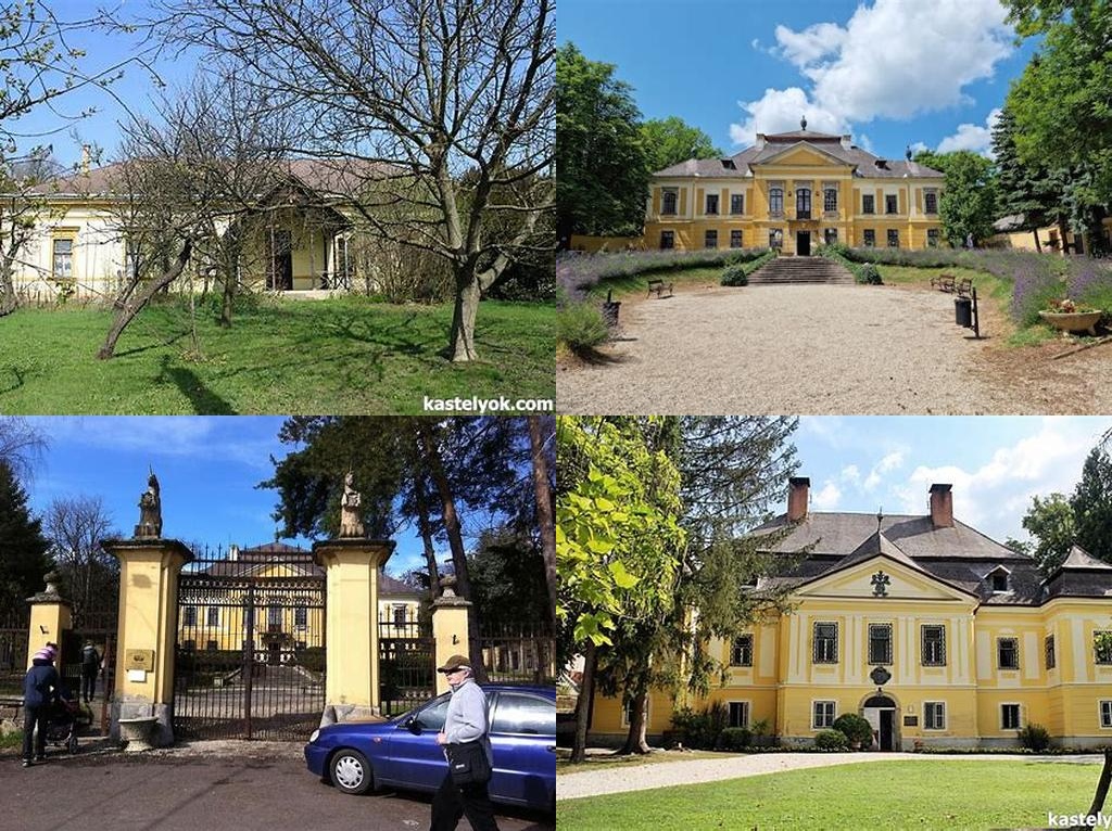 Remenyik-kastély (Remenyik Mansion)