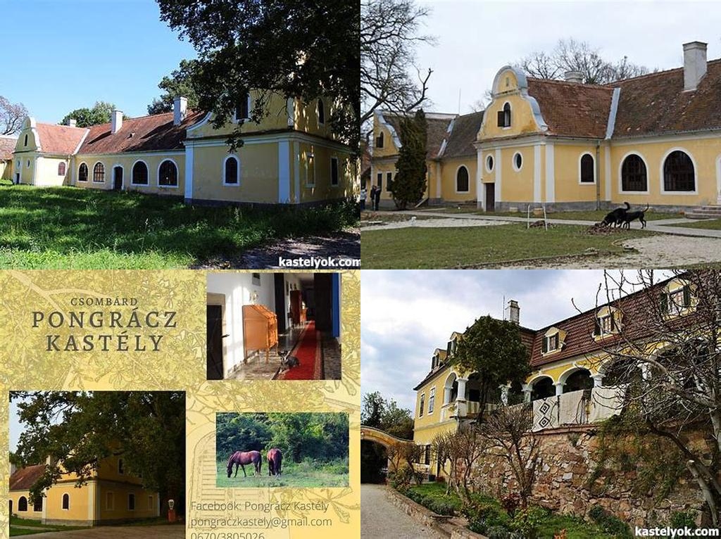 Pongrácz-kúria, Blaskovits-kúria (Pongrácz Mansion, Blaskovits Mansion)