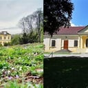 11057Károlyi-kastély (Károlyi Castle)