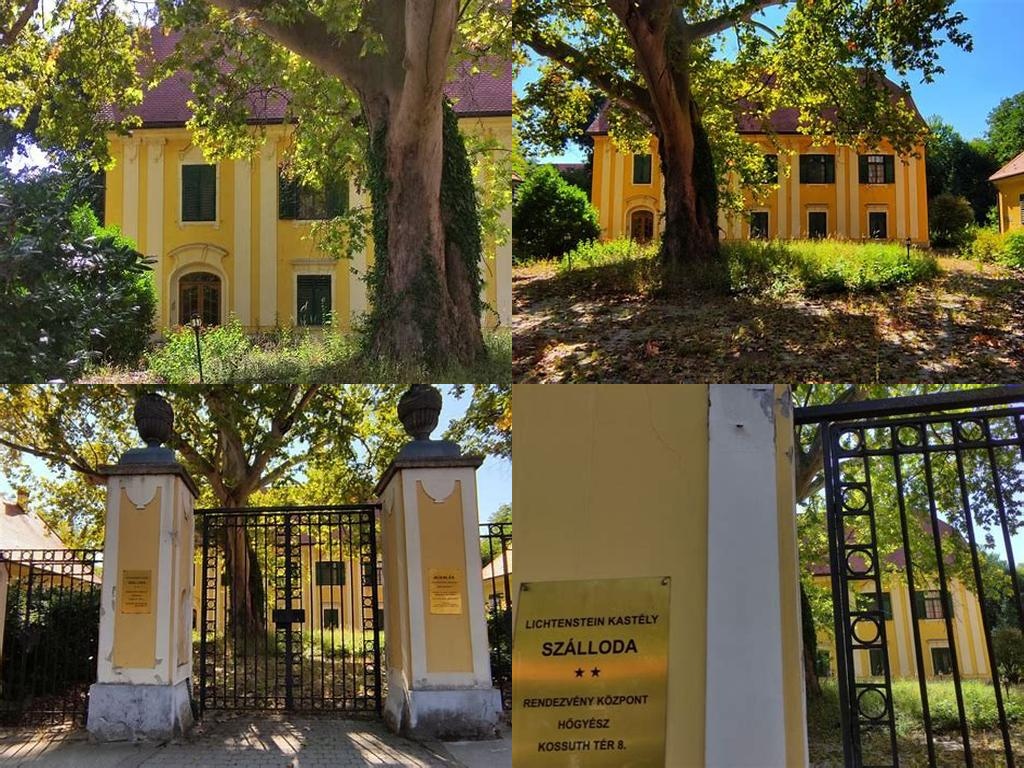 Lichtenstein-kastély (Lichtenstein Castle)