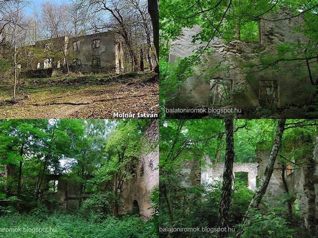 Hertelendy-kastélyrom (Hertelendy Castle Ruins)