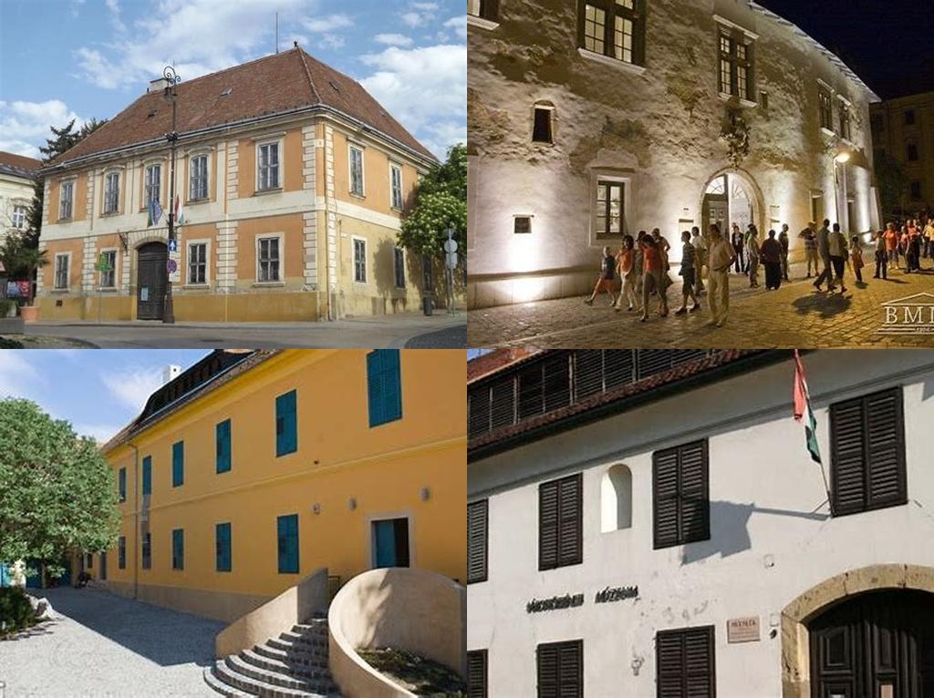 Pécsi Janus Pannonius Múzeum (Janus Pannonius Museum of Pécs)