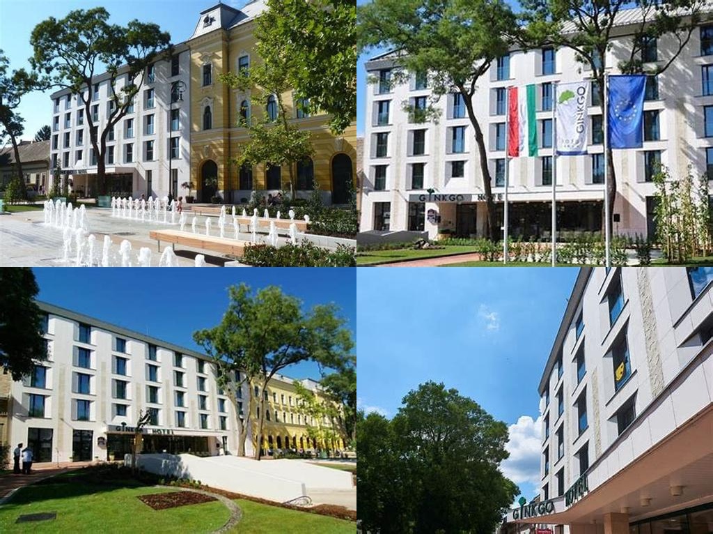 Ginkgo Hotel és Ginkgo Wellness Központ (Ginkgo Hotel and Ginkgo Wellness Center)