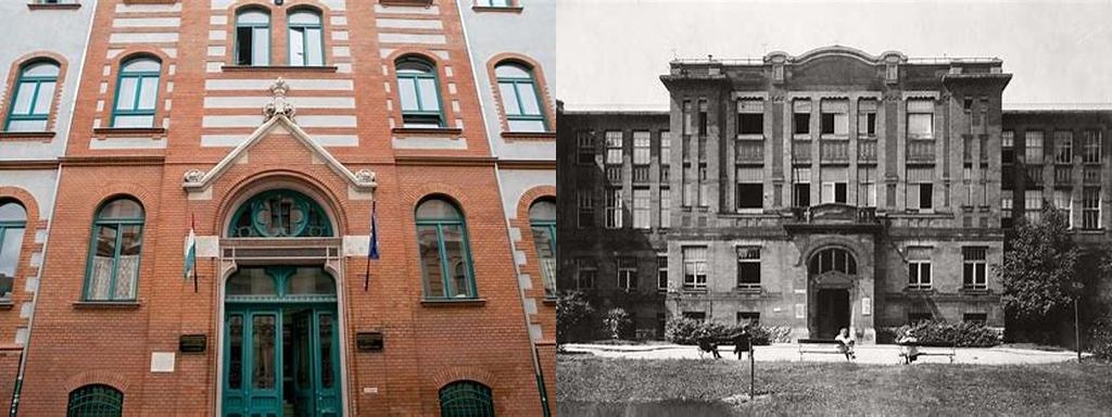 Semmelweis Egyetem intézetei, eklektikus, téglaburkolatos (Semmelweis University institutes, eclectic, brick-clad)