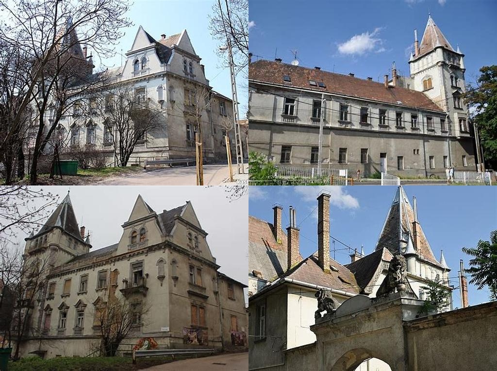 Czuba-Durozier-kastély (Czuba-Durozier Mansion)