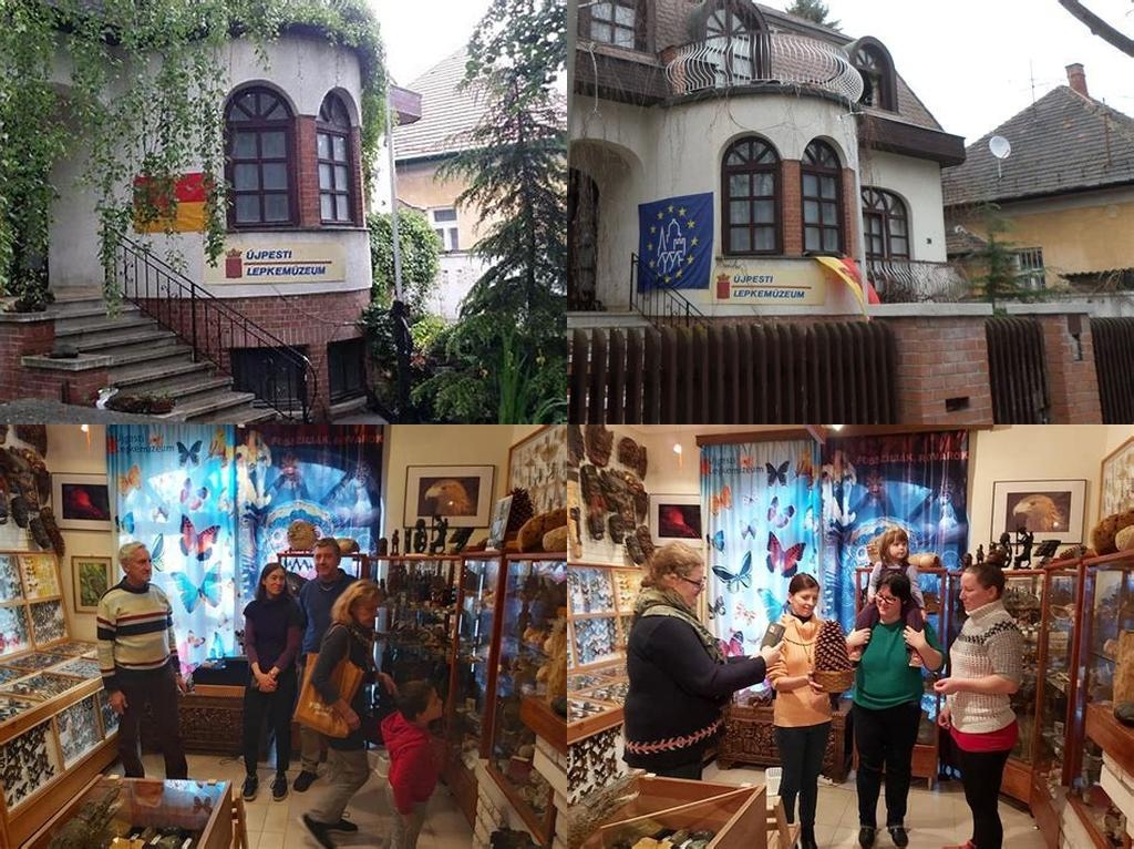 Újpesti Lepkemúzeum (Újpest Butterfly Museum)