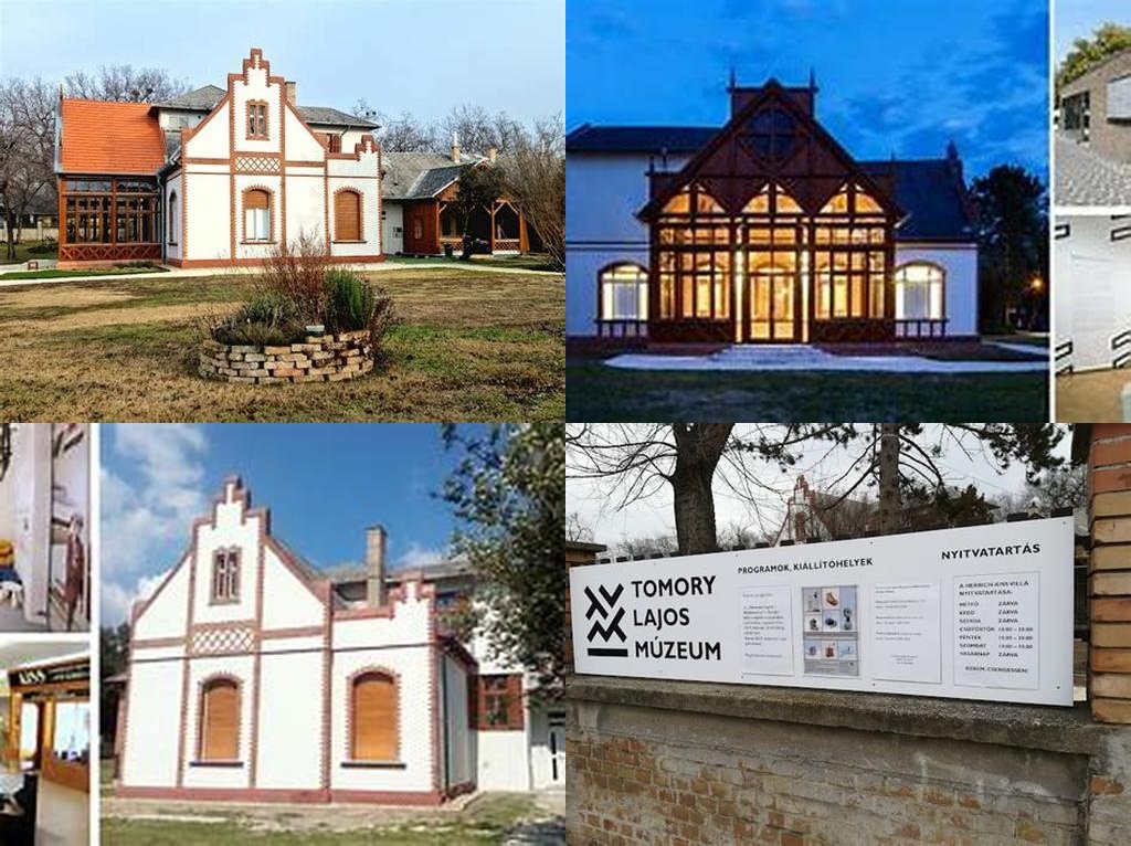 Tomory Lajos Múzeum (Lajos Tomory Museum)