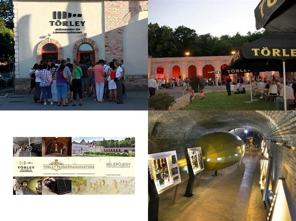 Törley Gyűjtemény és Látogatóközpont (Törley Collection and Visitor Centre)
