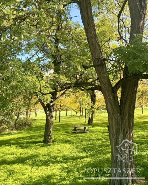 Exciting Adventures Await At Ópusztaszer’s Historic Park