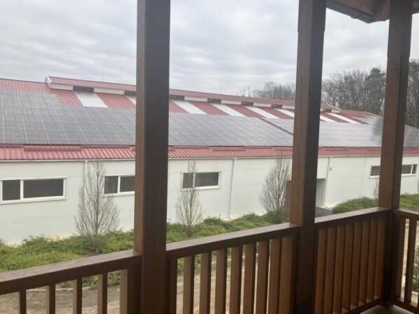 Goose Feast And Fun: St. Martin’s Day At Lázár Horse Park (Lázár Lovaspark)