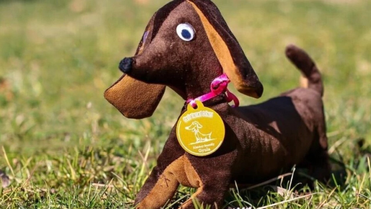 Meet Count Dönci, The Castle Tour Guide Dog