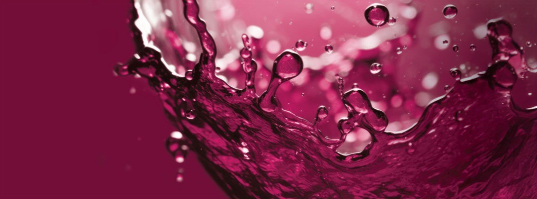 Egri Bikavér Festival: Ten Days Of Wine And Joy