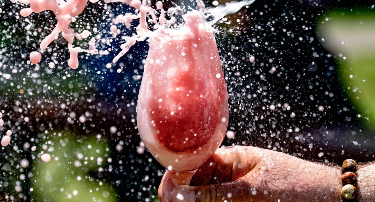 Budapest’s Rosalia Wine Picnic Returns To City Park (Városliget)