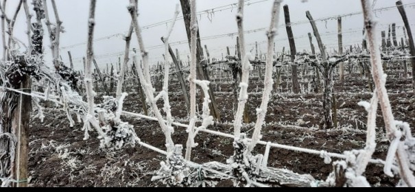 Hütte Party Heats Up Winter Night In Mór