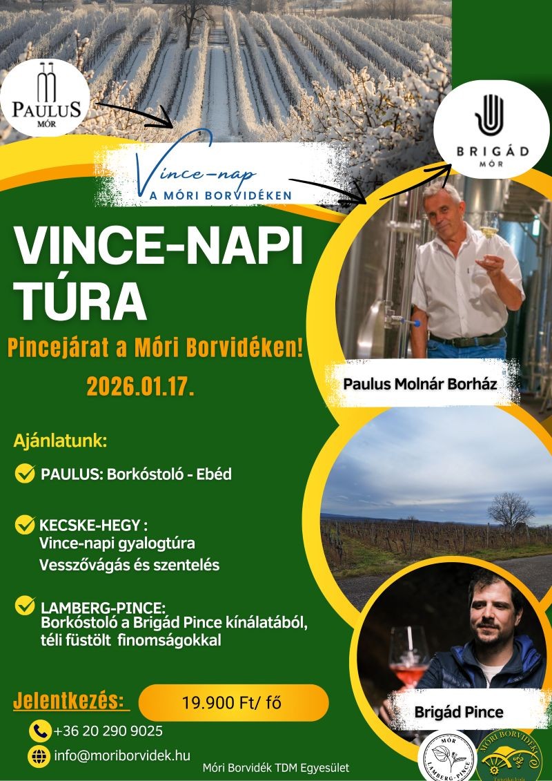 Vince Day Vineyard Hike Lights Up Mór