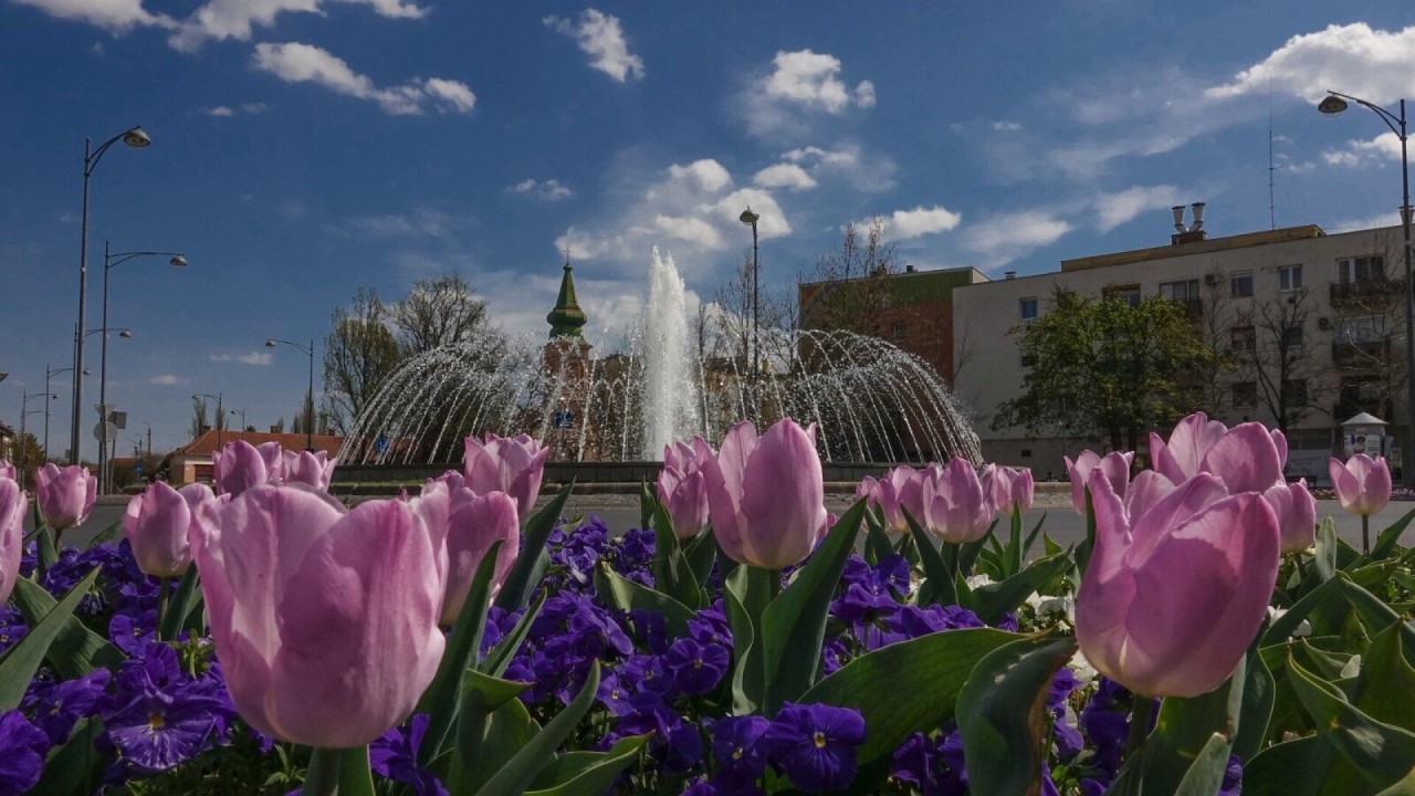 Gyula’s Historic Downtown Strolls: March 2026 Walking Tours