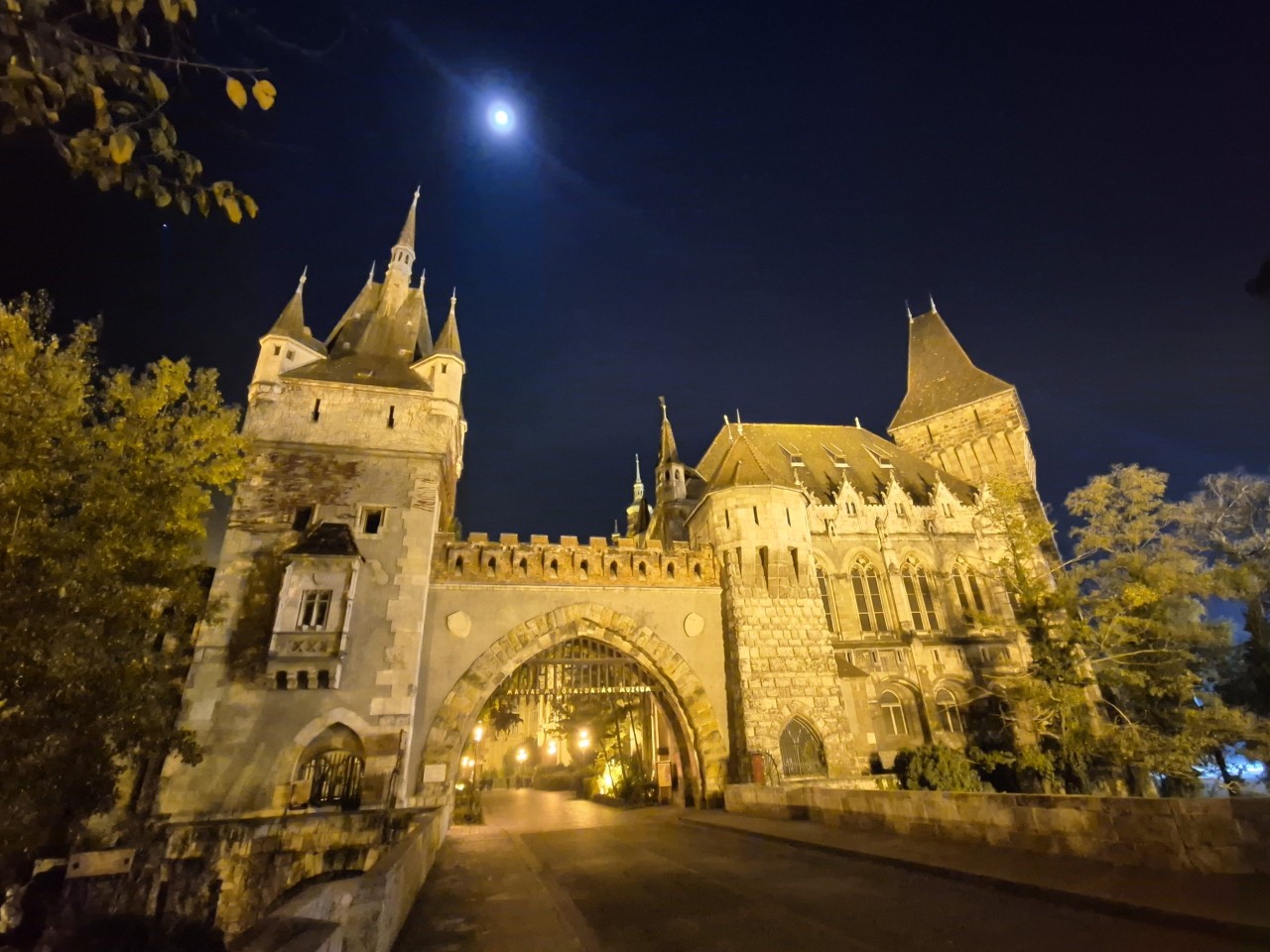 Brazilian Orchids Explode In Budapest: 2026 Show!