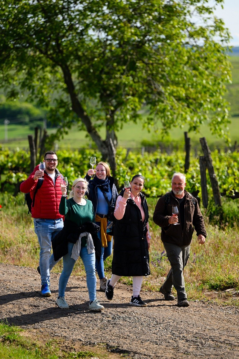 Eger Kadarka Vineyard Hike And Tasting, One Day Only