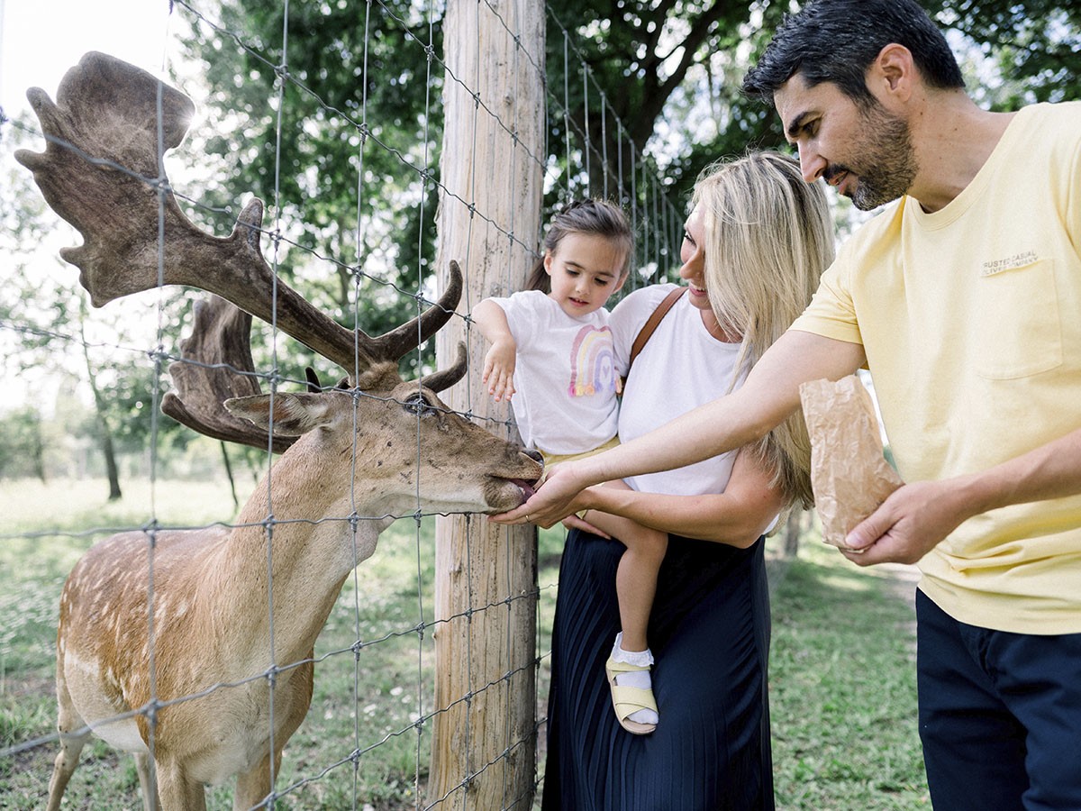Family Fun Explodes At Gyenesdiás Nature House In 2026!