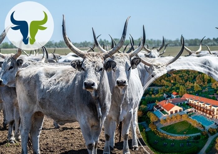 Savor The Puszta’s Bold Flavors: Gastro Adventure Week At Tiszafüred’s Tisza Balneum Hotel 2026