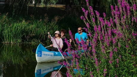 Gyula Canoe Tours On The Old White Körös (Ó-Fehér-Körös) This Spring