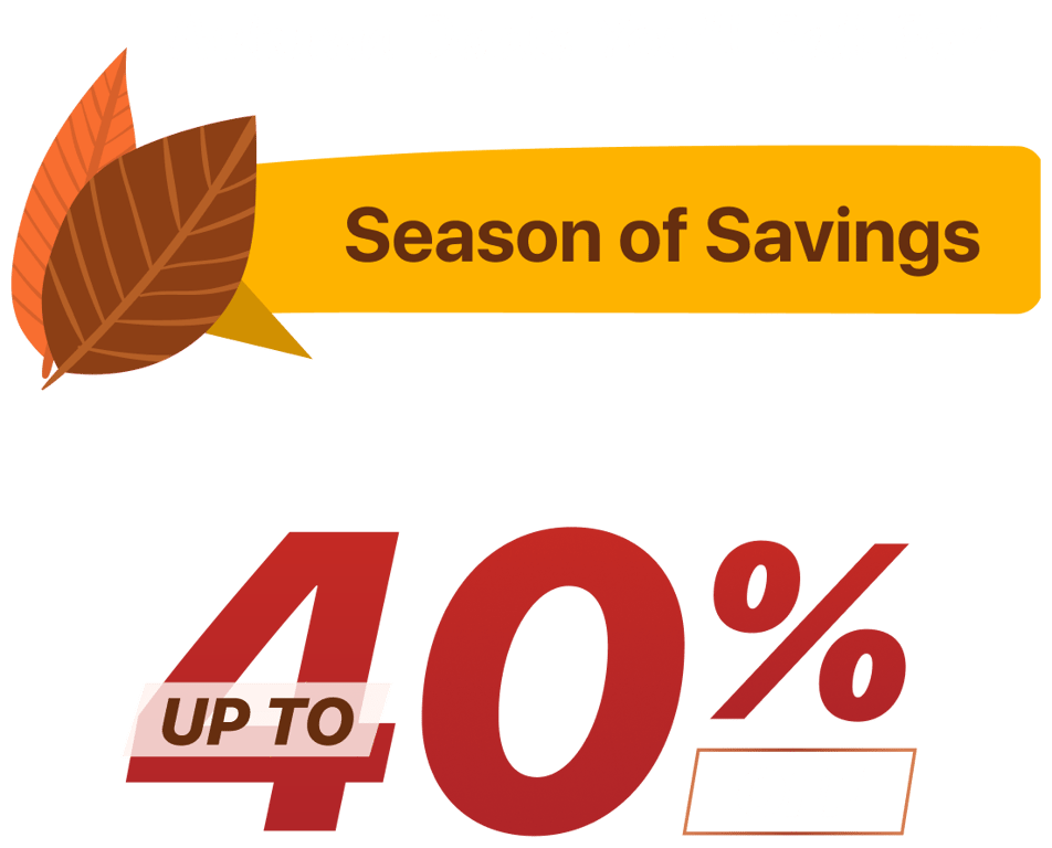 Autumn sale offer