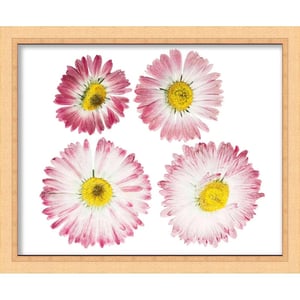 12x18 Gold Shadowbox Frame for Displaying Items and Memorabilia product image