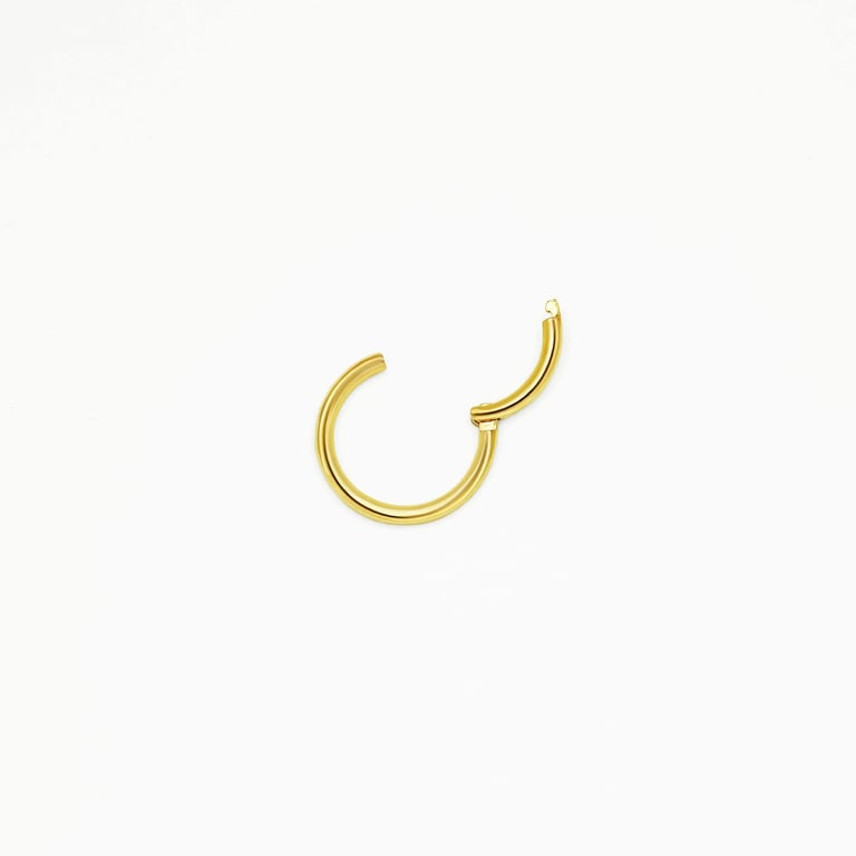 14K Solid Gold Seamless Hoop Earrings product image