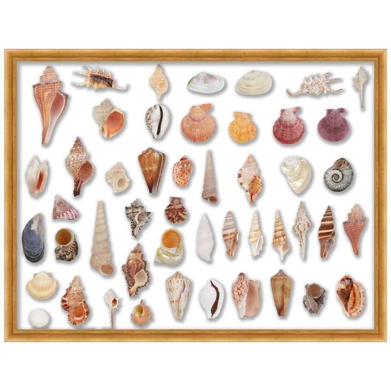 Elegant 8x8 Gold Shadowbox Frame for 1.75