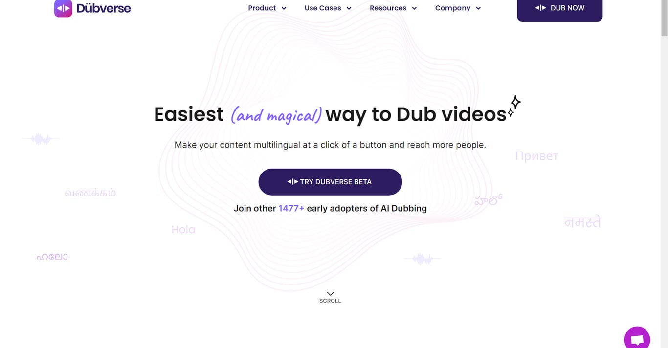 Dubverse company image