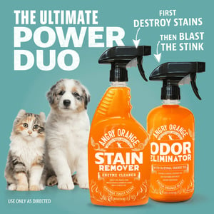 Enzyme Stain & Odor Remover for All Pets - 32oz Bottle product image