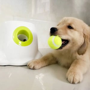 Automatic Tennis Ball Launcher for Dogs, Cats, and Small Animals product image