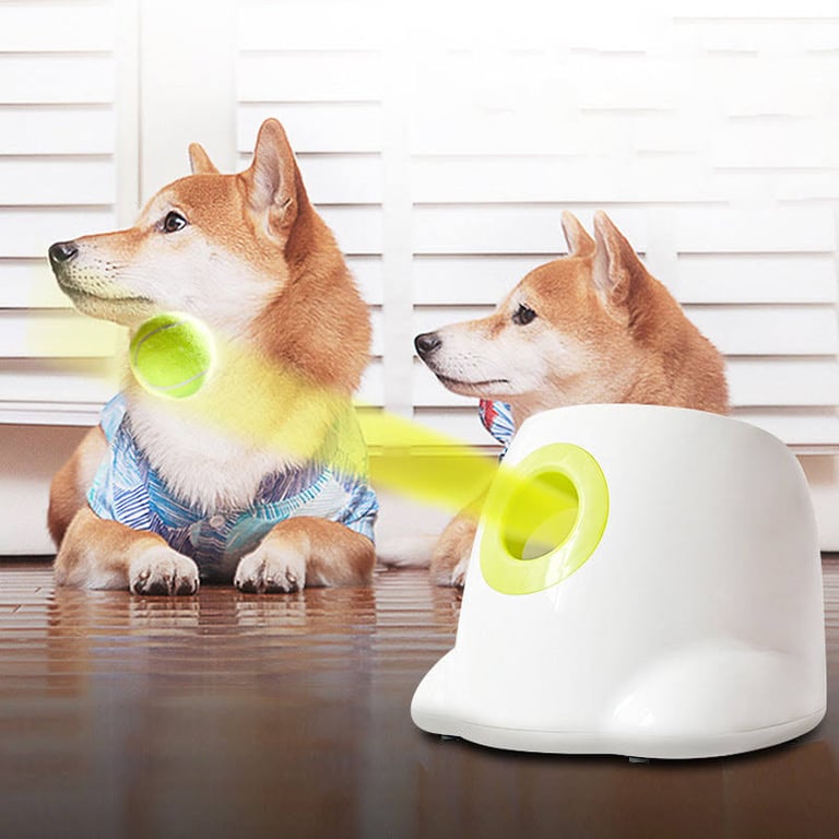 Dog ball thrower target on sale