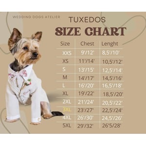 Elegant Dog Tuxedo for Special Occasions product image