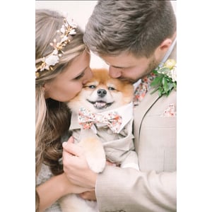 Elegant Dog Tuxedo for Special Occasions product image