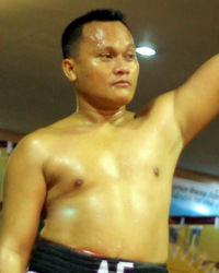 boxer-Arnold-Garcia-29403 avatar