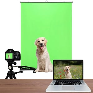 Easy-to-Use Pull Up Green Screen for Video and Photography product image