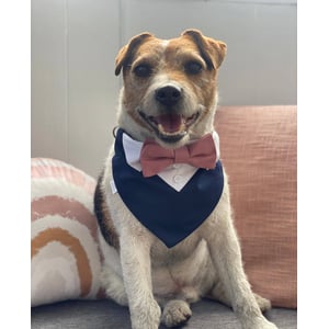 Dapper Dog Wedding Tuxedo with Bow Tie product image