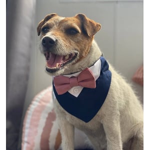 Dapper Dog Wedding Tuxedo with Bow Tie product image