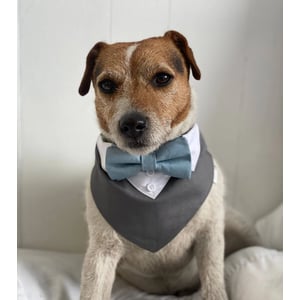 Stylish Over-the-Collar Dog Wedding Tuxedo with Bow Tie product image