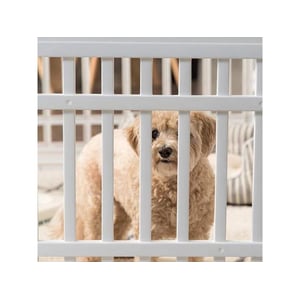 Durable and Portable 6-Panel Dog Playpen with Door product image