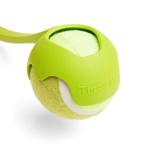 Medium Dog Ball Launcher for Tennis Balls product image