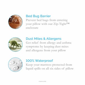 Waterproof Bed Bug Protector for Queen Mattresses product image