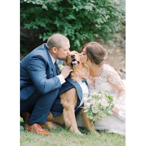 Custom Navy Blue Dog Tuxedo for Weddings product image