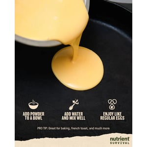 Nutrient-Packed Powdered Egg Blend with 33 Essential Vitamins and 13g Protein product image