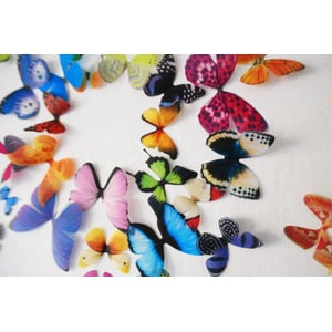 Realistic 3D Wall Butterfly Set - 50 Pieces for Whimsical Decor product image
