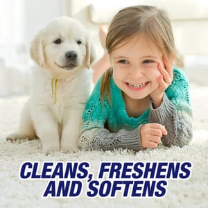 Powerful Carpet Cleaner & Freshener - Removes Tough Stains product image