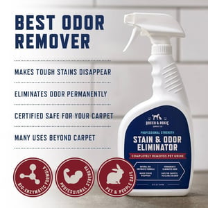 Powerful Enzyme Stain & Odor Eliminator for Pets product image