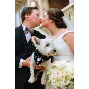 Custom Fit Dog Tuxedo for Formal Occasions product image